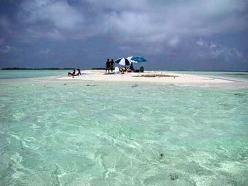 los roques small island